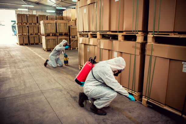Best Cockroach Control Services  in Port Chester, NY