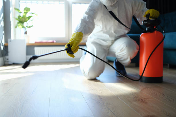 Flea Control Services in Port Chester, NY