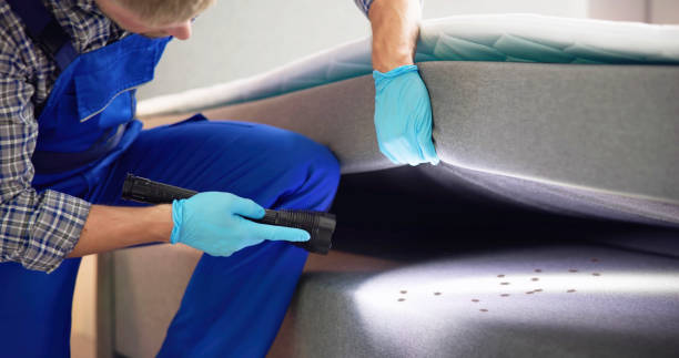 Best Emergency Pest Control  in Port Chester, NY