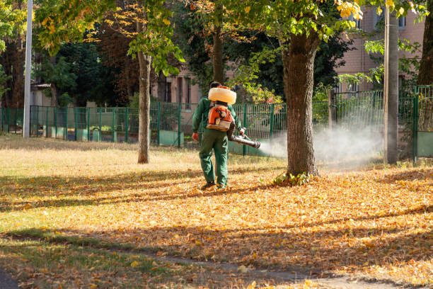 Best Bed Bug Extermination  in Port Chester, NY
