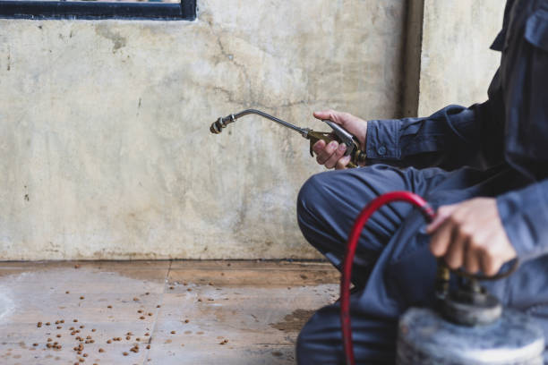 Best Best Pest Control Companies  in Port Chester, NY