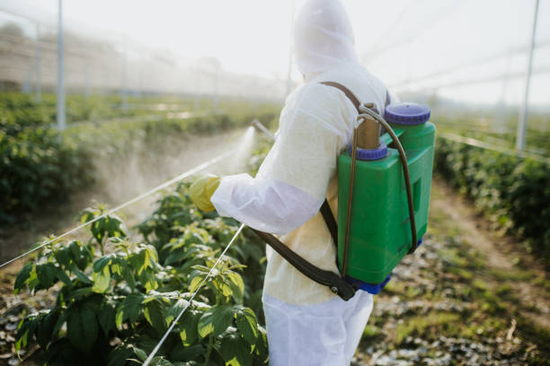 Best Affordable Pest Control Services  in Port Chester, NY